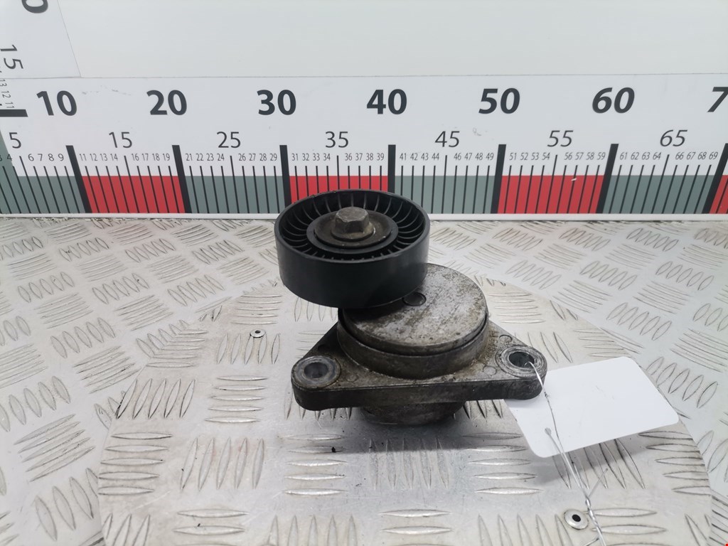 Натяжитель ремня генератора (приводного поликлинового ремня Chevrolet Aveo (T200-T250) (2002-2012)