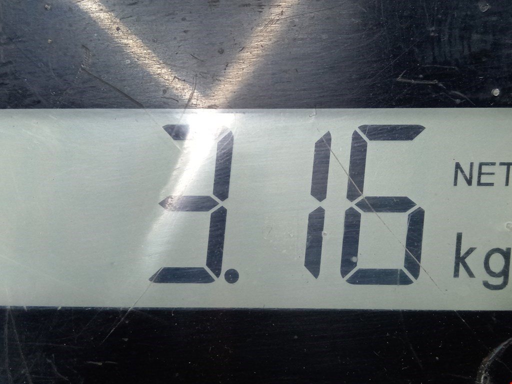 Подушка безопасности пассажирская (в торпедо) OPEL Astra G 1998-2005