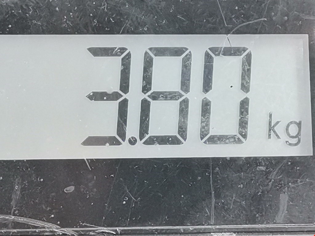 Стартер VOLKSWAGEN Transporter T5 2003-2015