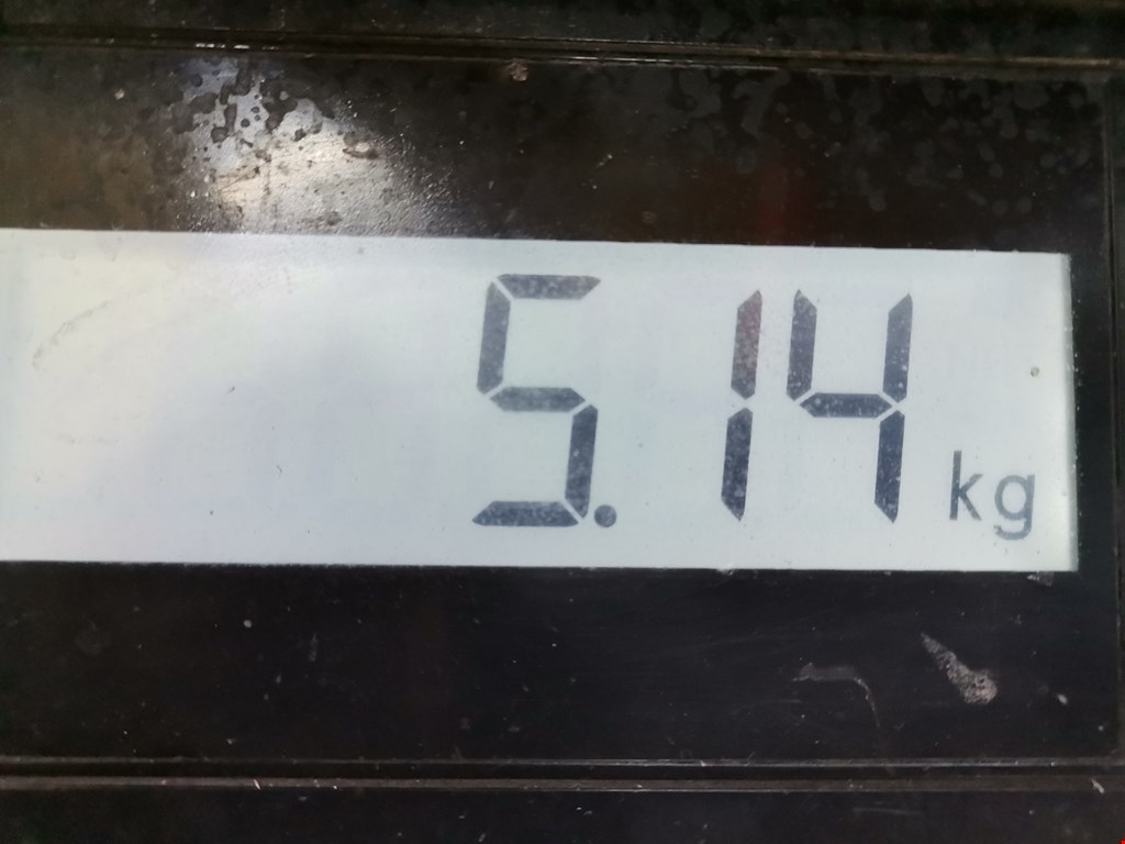 Поддон масляный двигателя RENAULT Scenic II 2003-2010