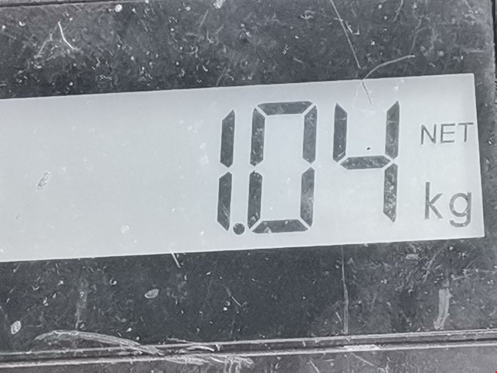 Шестерня коленвала (шкив) OPEL Astra G 1998-2005