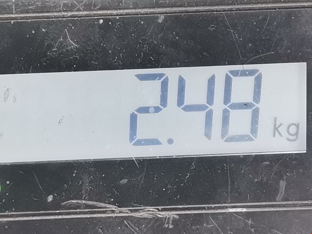 Стеклоподъемник задний левый FORD Focus II 2005-2011