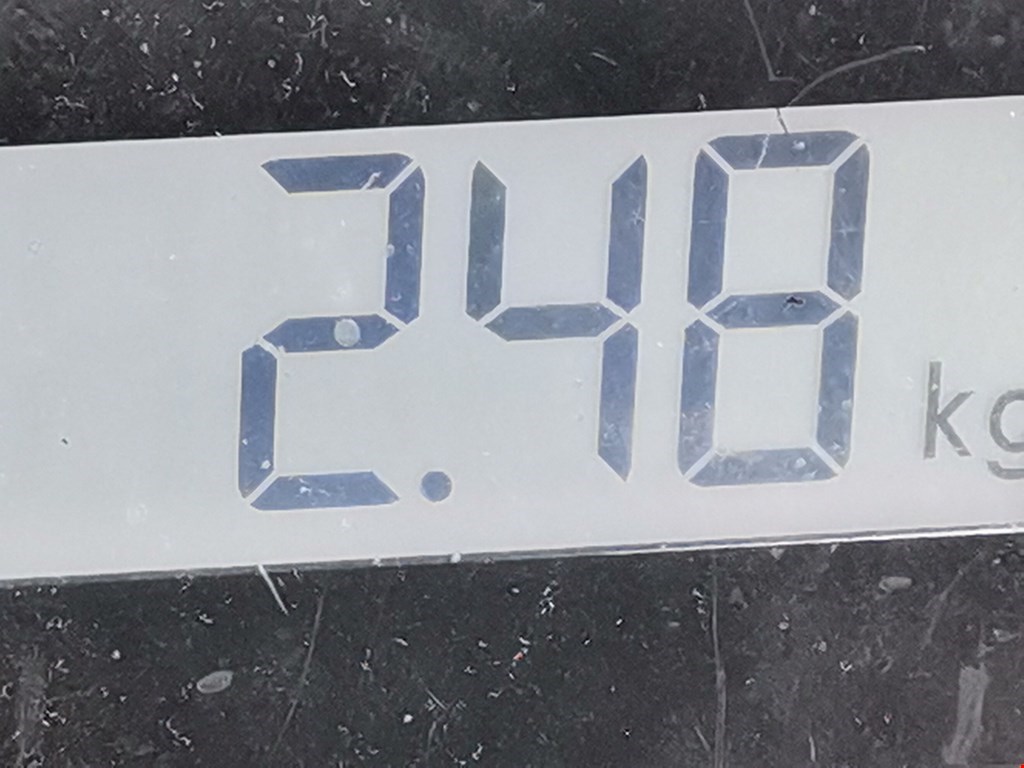 Стеклоподъемник задний левый FORD Focus II 2005-2011