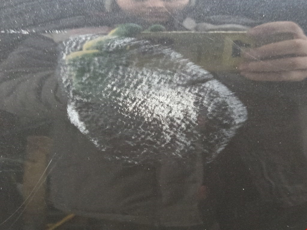 Дверь задняя левая MERCEDES-BENZ R-Class W251 2005-2017