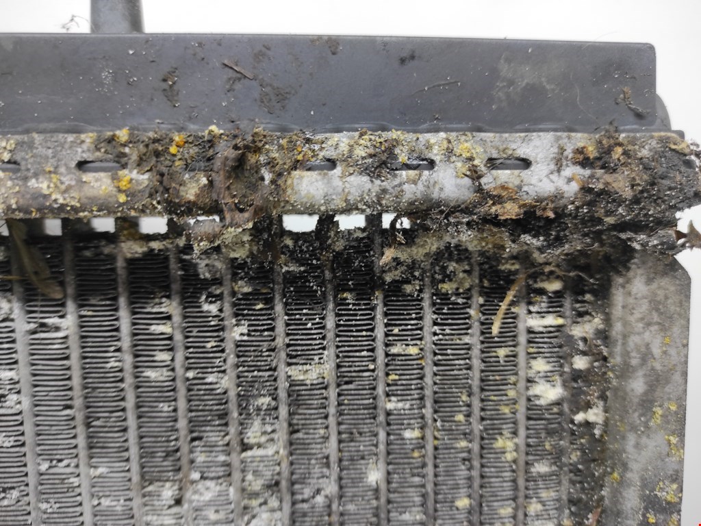 Радиатор основной CITROEN C5 I 2001-2008