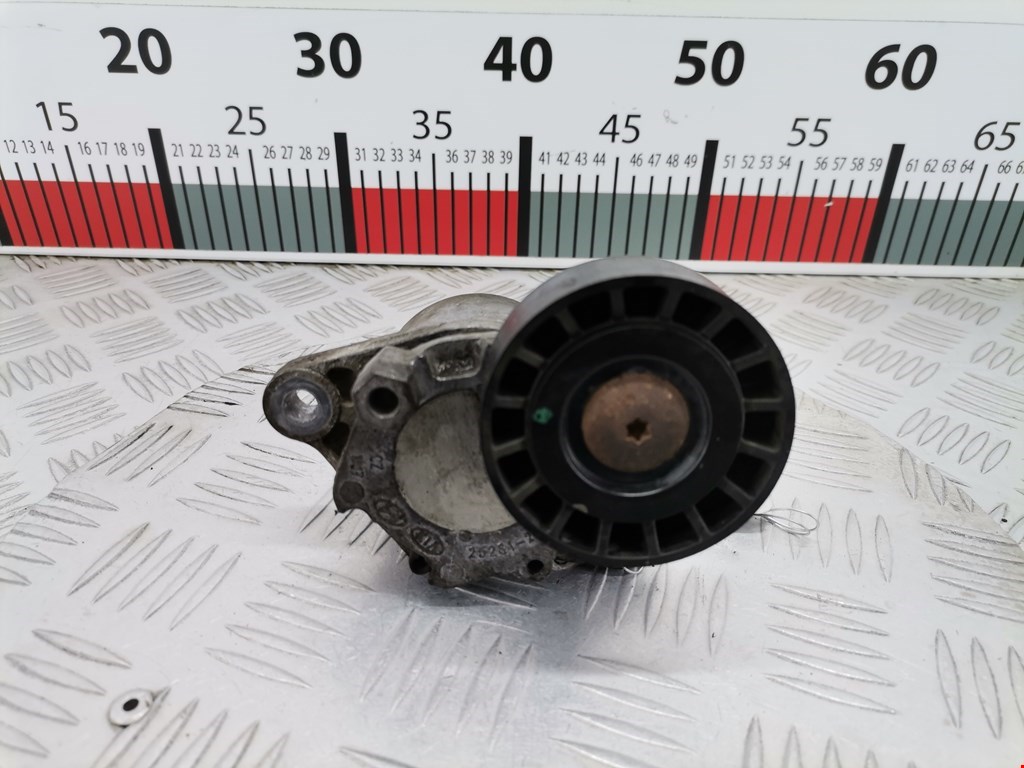 Натяжитель ремня генератора (приводного поликлинового ремня Kia Ceed 1 (ED) (2006-2012)