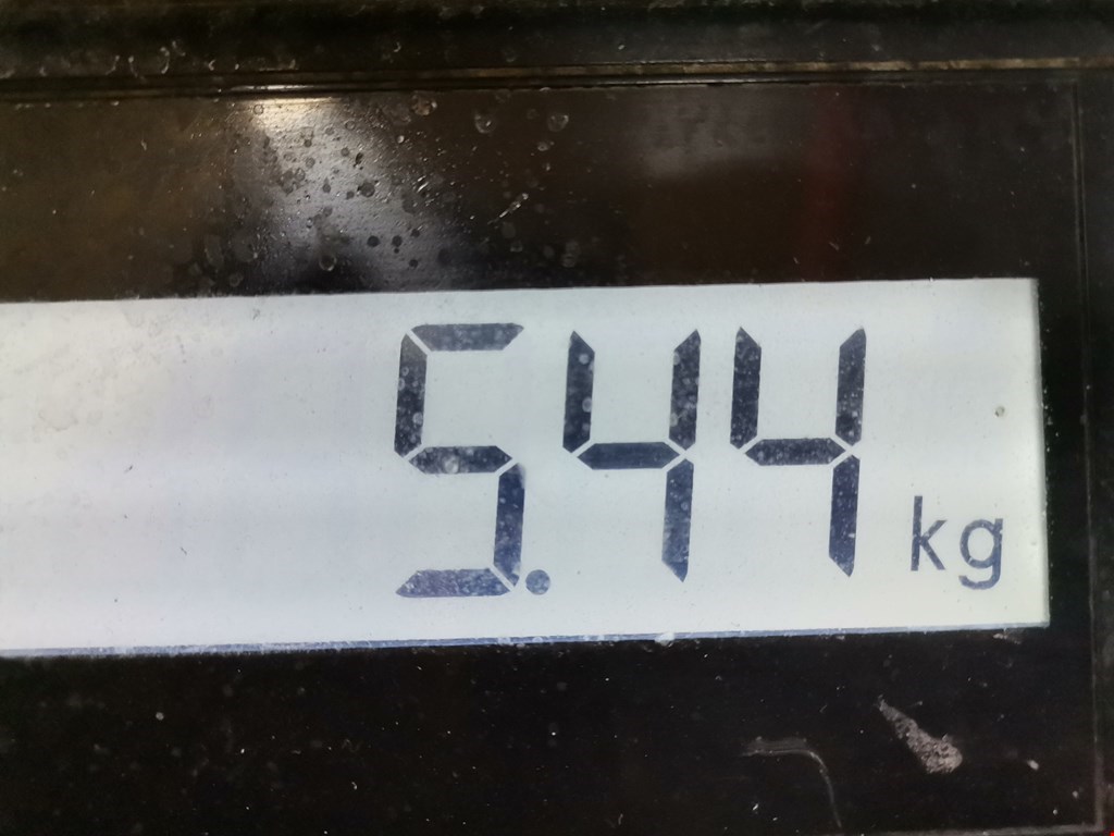 ТНВД (топливный насос высокого давления) RENAULT Scenic II 2003-2010