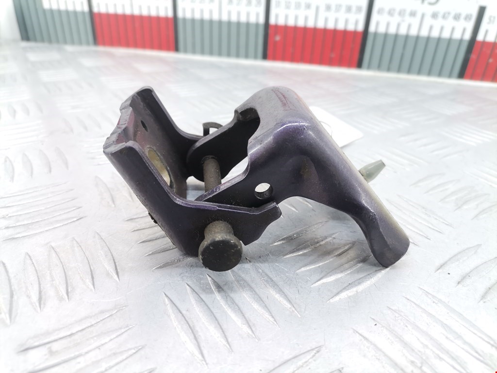 Петля двери передней правой Peugeot 307 (2001-2008)