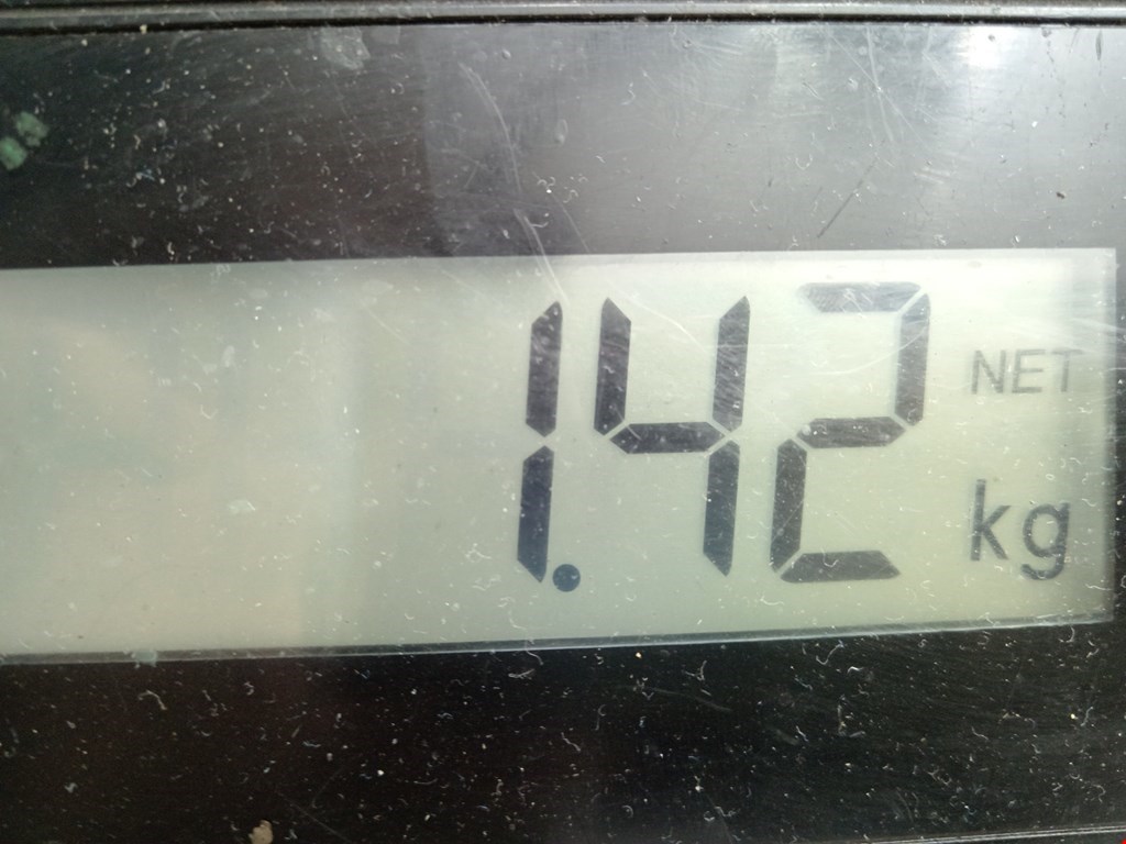 Амортизатор задний правый FORD Focus I 1998-2005