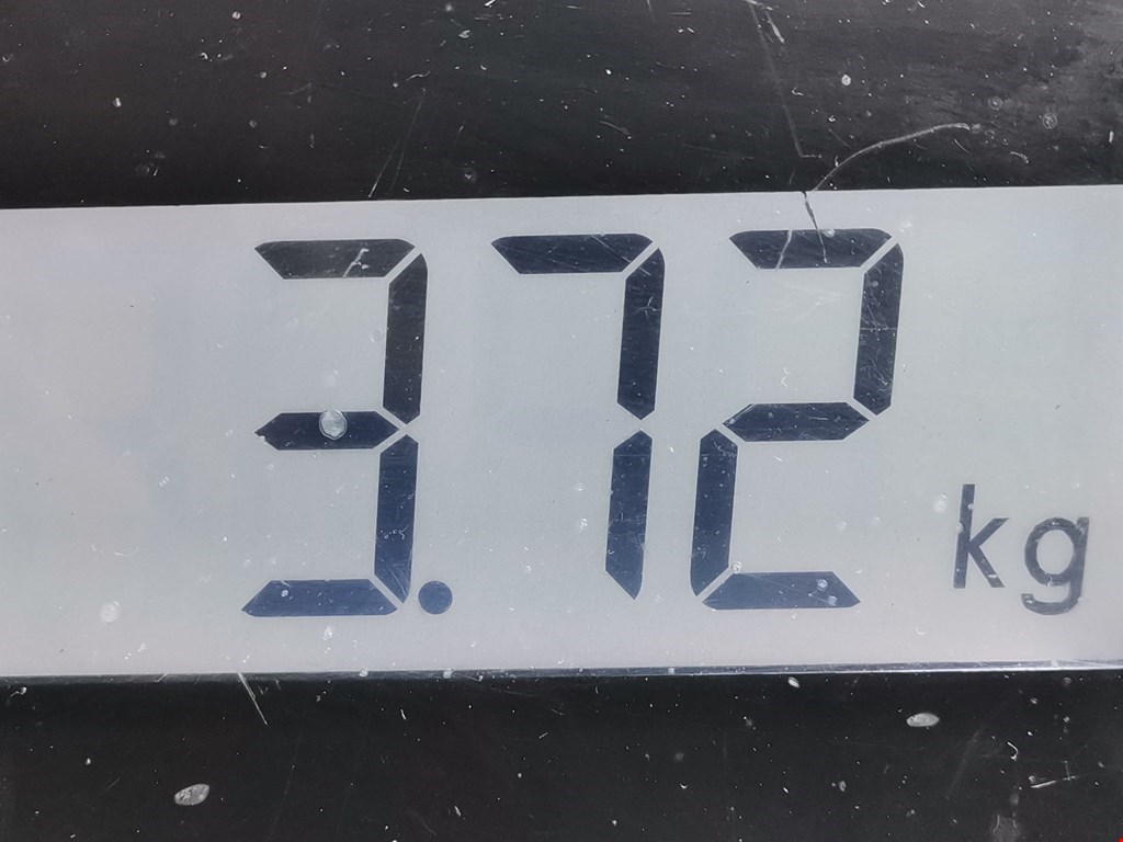 Стекло двери заднее левое CITROEN C5 I 2001-2008