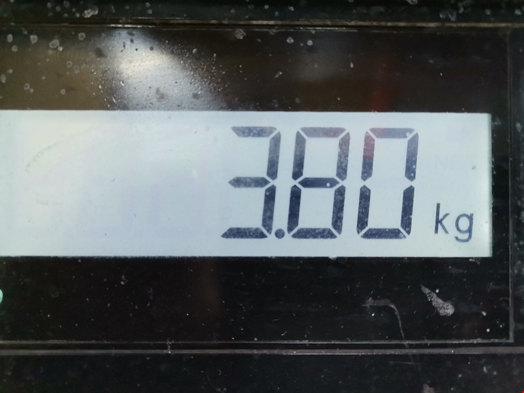 Кронштейн КПП PEUGEOT Expert II 2007-2016