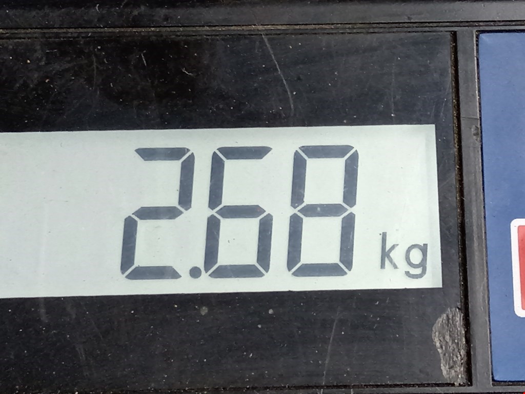 Барабан тормозной задний FIAT Punto II (188) 1999-2007