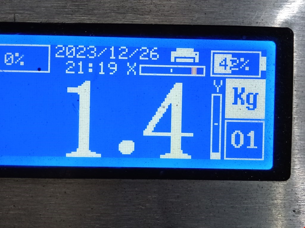 Плафон салонный (салона фонарь) RENAULT Master 2010-н.в.