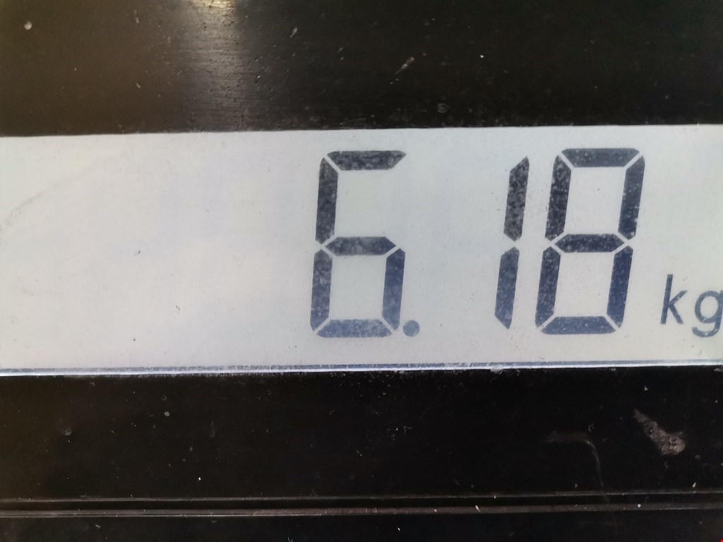 Коллектор впускной NISSAN Primera P11 1996-2002