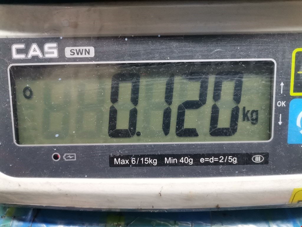 Кнопка корректора фар TOYOTA Tundra 1999-2006