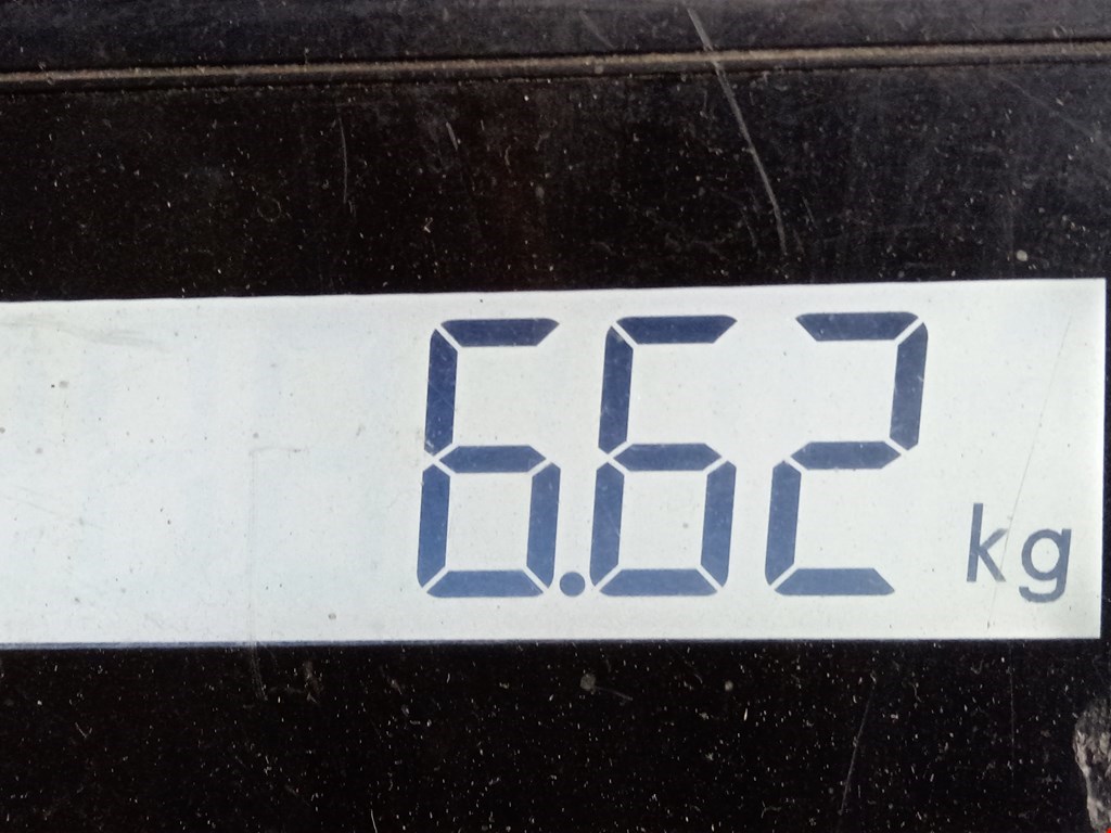 Амортизатор передний правый AUDI A3 8L 1996-2003