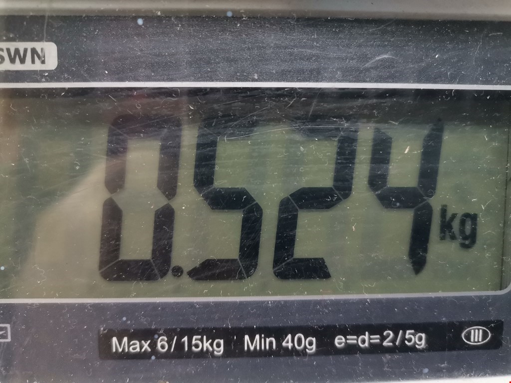 Плафон салонный (салона фонарь) MERCEDES-BENZ Vario 1996-2013