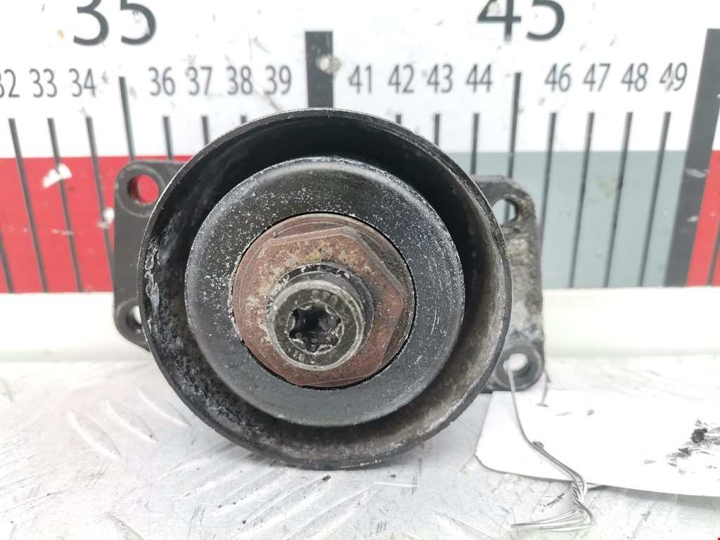 Натяжитель ремня генератора (приводного поликлинового ремня Peugeot 206 (1998-2006)