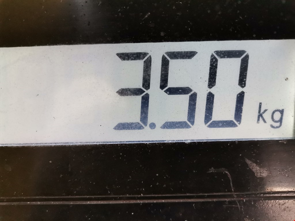 Шестерня коленвала (шкив) AUDI A4 B5 1995-2001