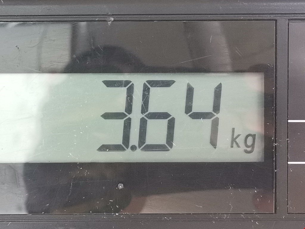 Стеклоподъемник задний правый FORD Focus II 2005-2011