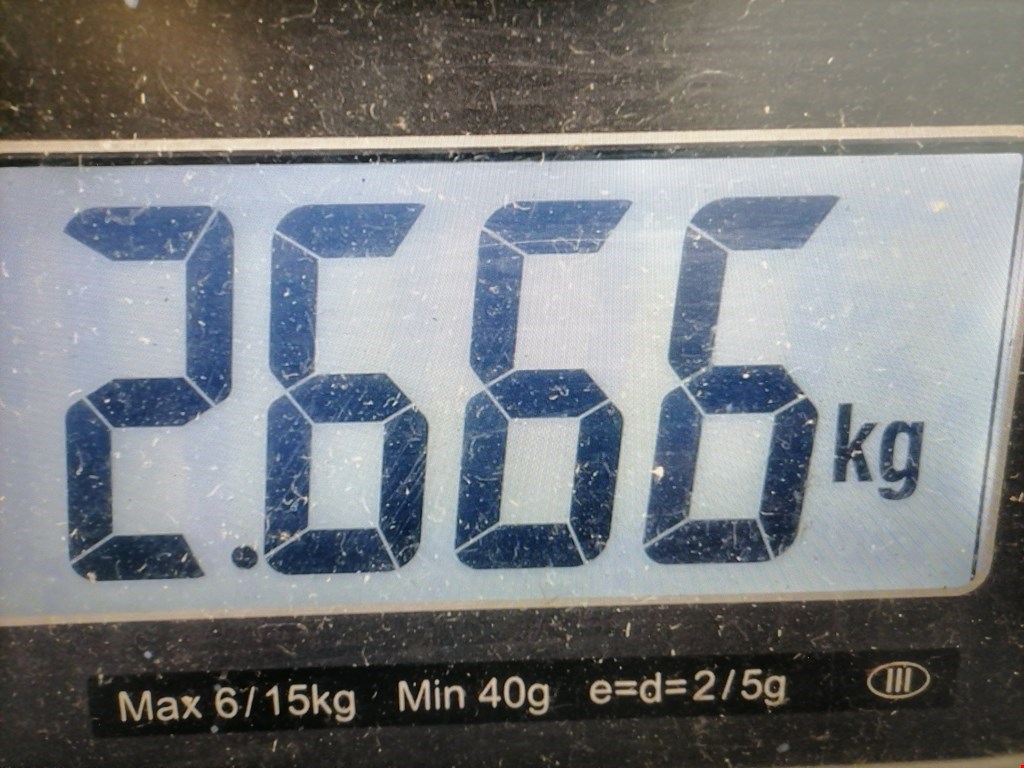 Подушка безопасности пассажирская (в торпедо) ALFA ROMEO 156 1997-2007