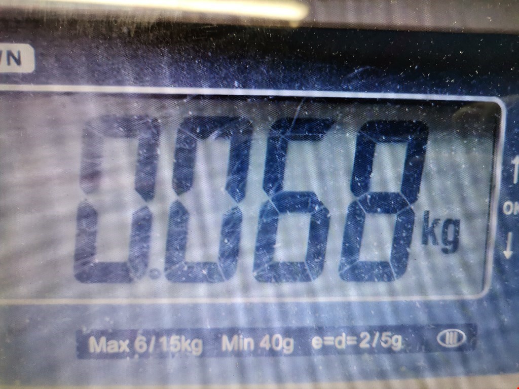 Решетка в бампер FORD Focus III 2011-2019