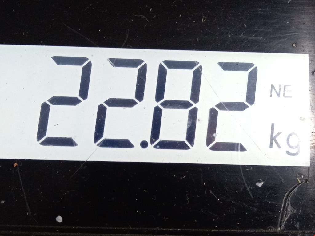 Маховик (демпфер сцепления) FORD Transit 2006-2014