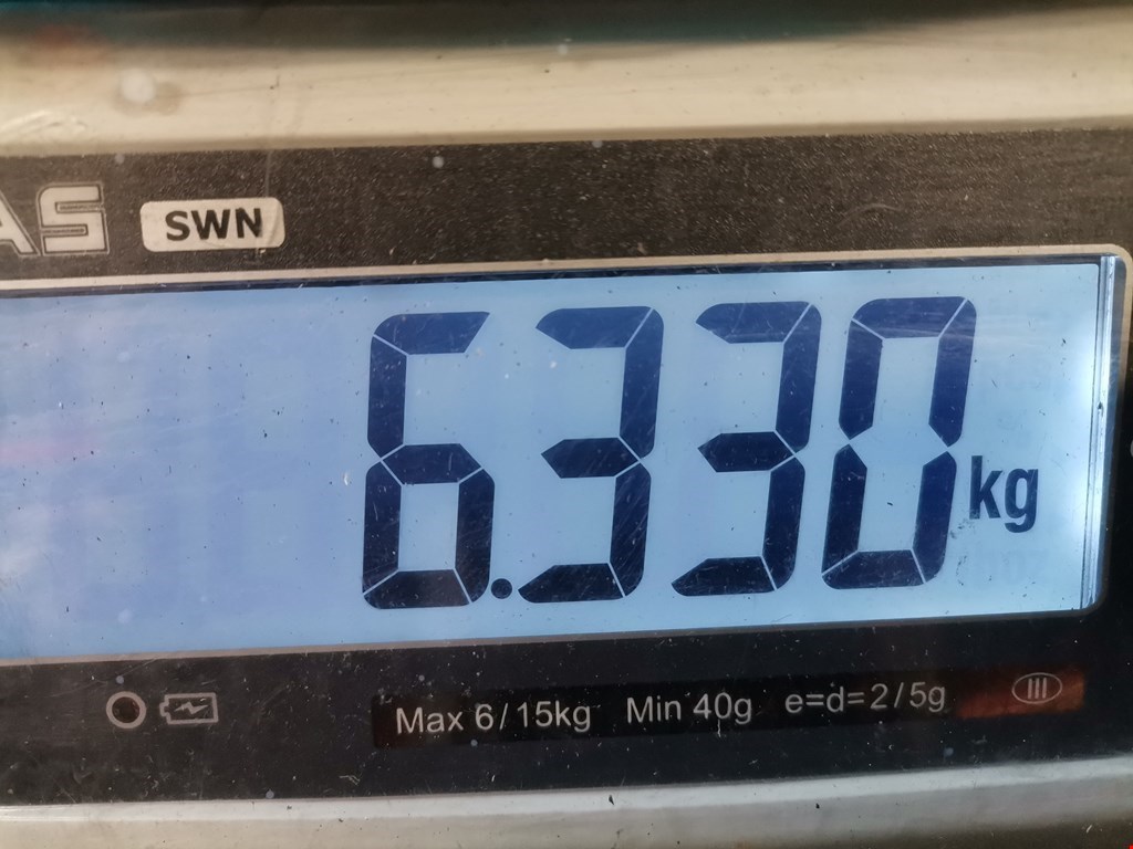 Амортизатор передний левый PEUGEOT 208 2012-2019