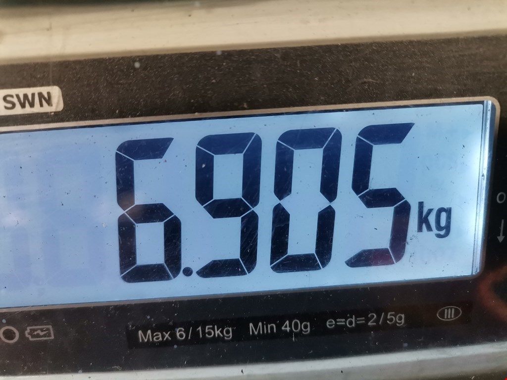 Амортизатор передний правый BMW 5er 5 серия F10/F11/F07 2009-2017