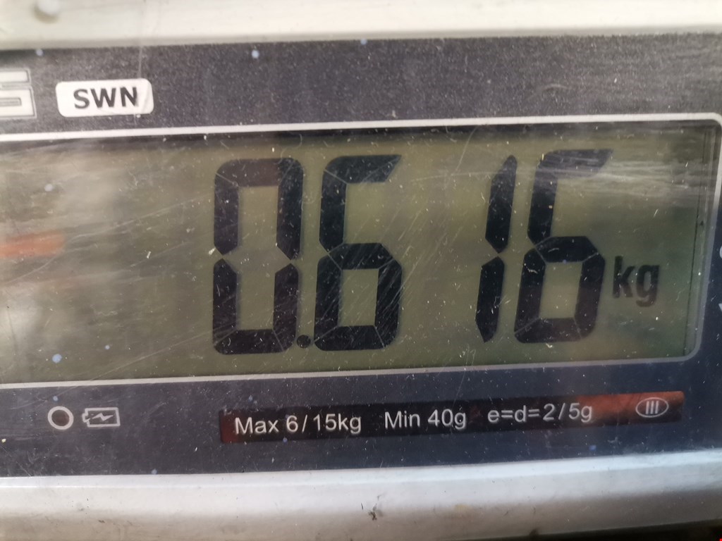 Стекло кузовное глухое левое MERCEDES-BENZ SLK-Class R171 2004-2011