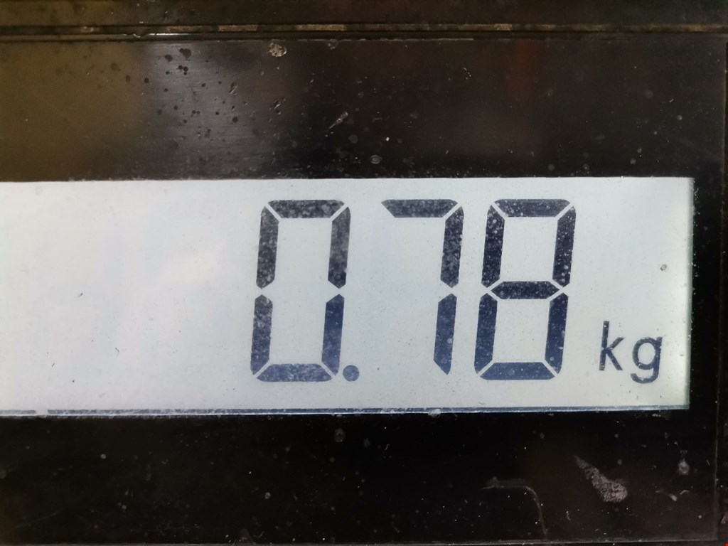 Защита антигравийная SKODA Rapid 2012-2020