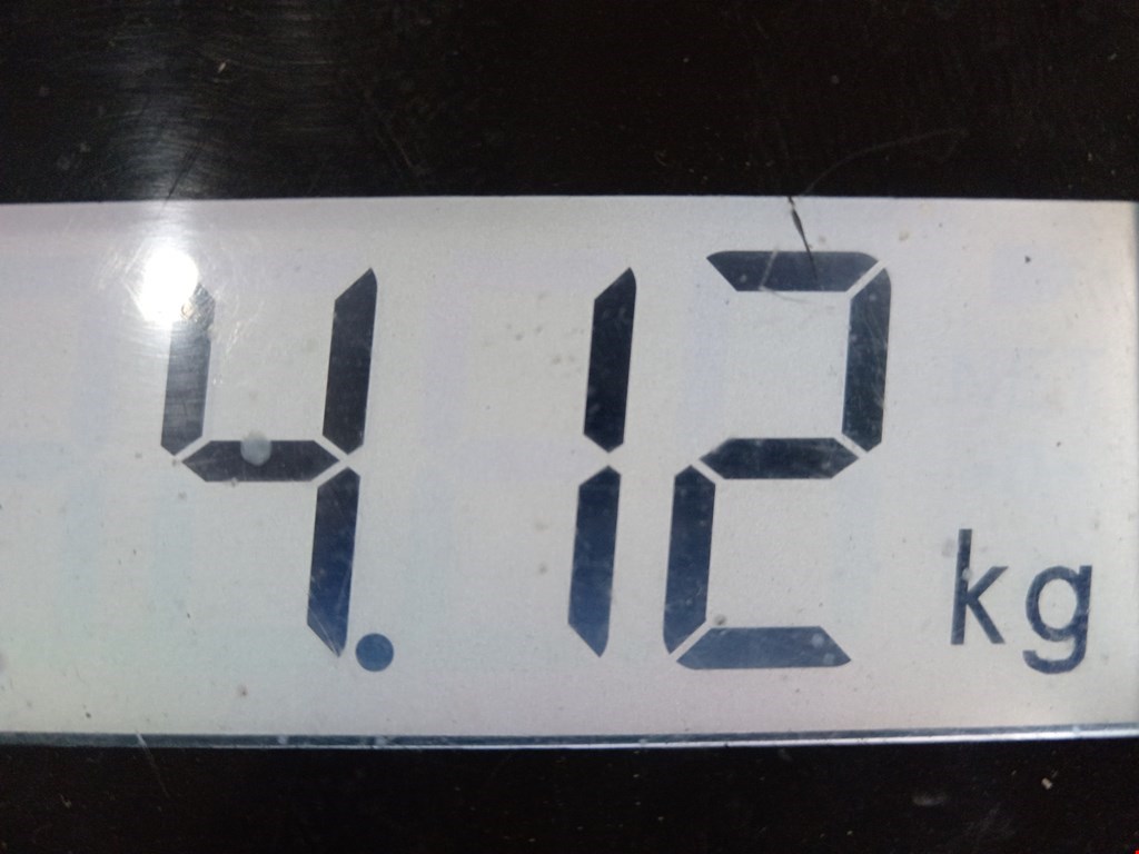 Стабилизатор передний (поперечной устойчивости подвески) AUDI A3 8L 1996-2003