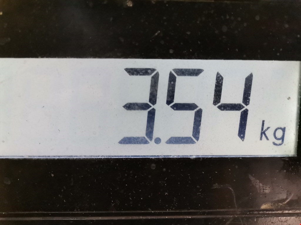 Стабилизатор передний (поперечной устойчивости подвески) VOLKSWAGEN Passat CC 2008-2017