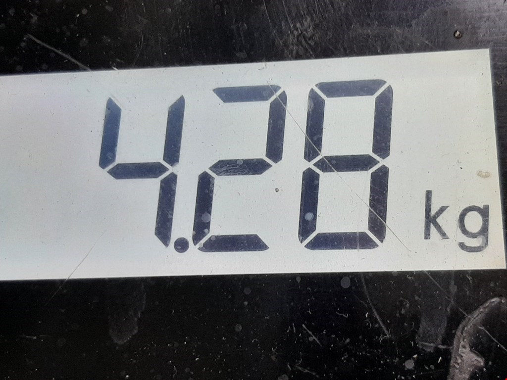 Стабилизатор передний (поперечной устойчивости подвески) PEUGEOT 308 2007-2015