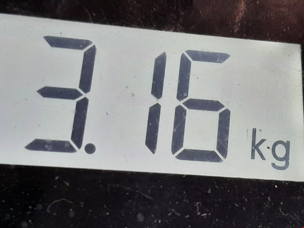 Стабилизатор передний (поперечной устойчивости подвески) PEUGEOT 207 2006-2015