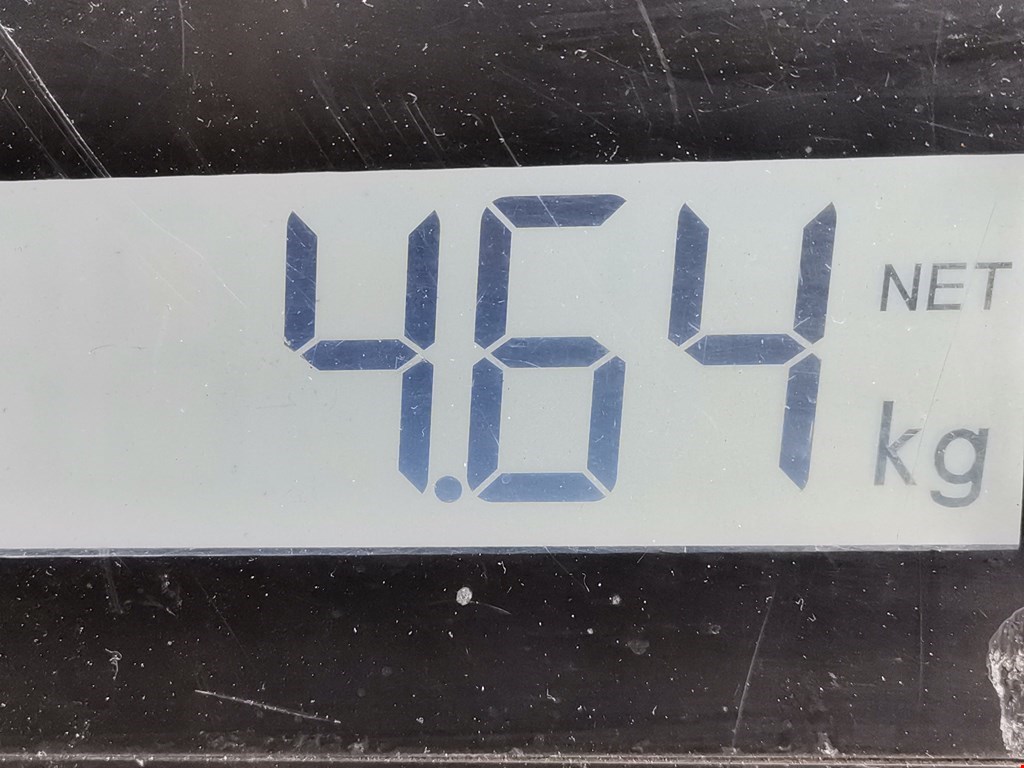 Амортизатор задний левый NISSAN Primera P11 1996-2002