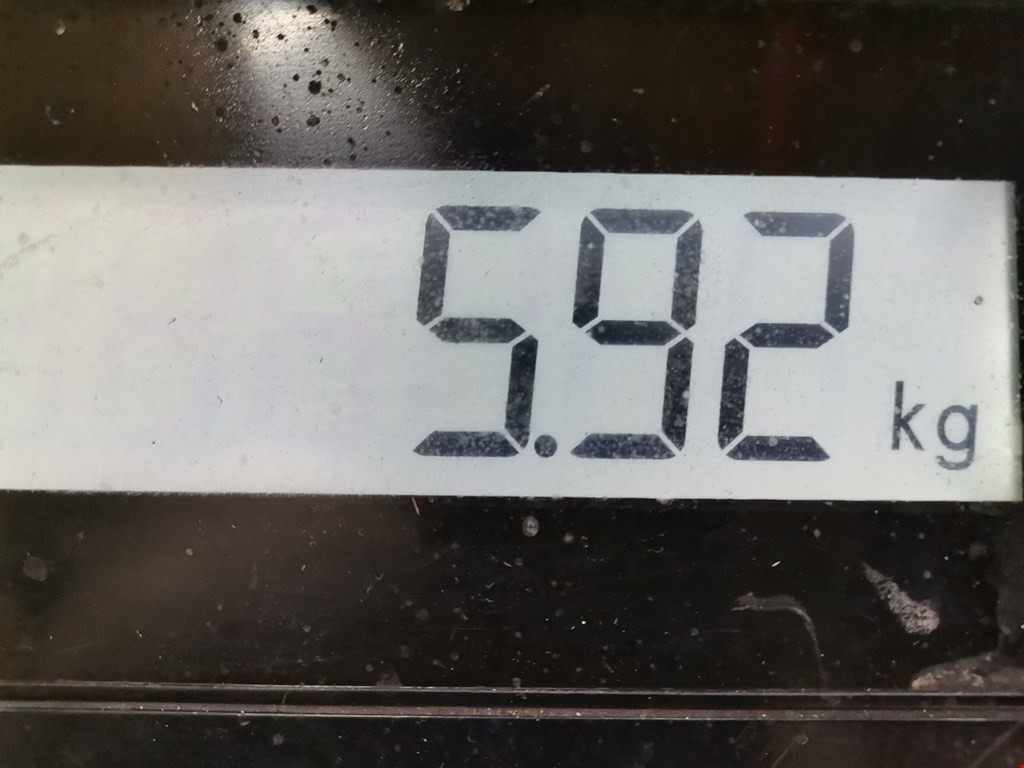 Коллектор впускной NISSAN Primera P11 1996-2002