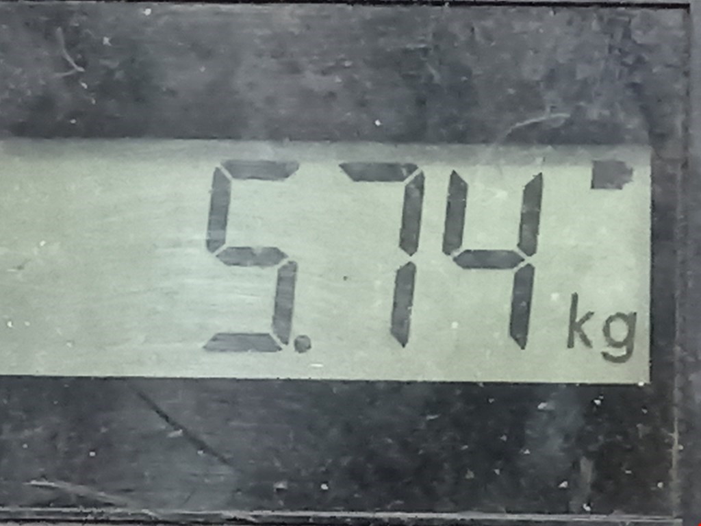 Стабилизатор передний (поперечной устойчивости подвески) MITSUBISHI Space Wagon N8,N9 1998-2004