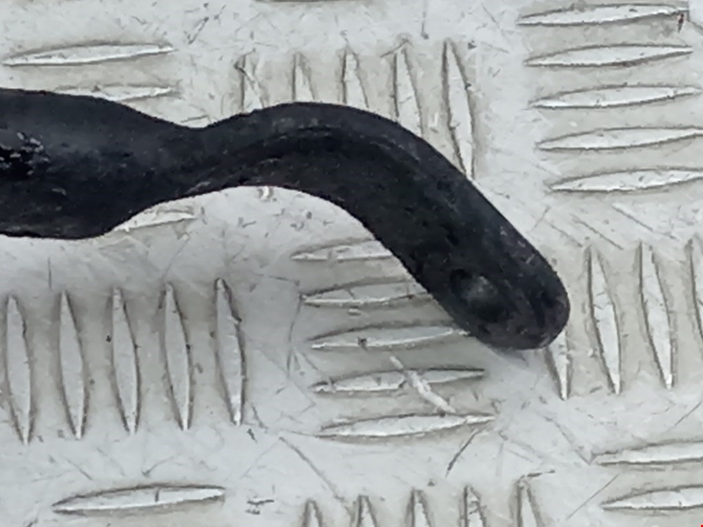 Стабилизатор передний (поперечной устойчивости подвески) MAZDA Premacy CP 1999-2004