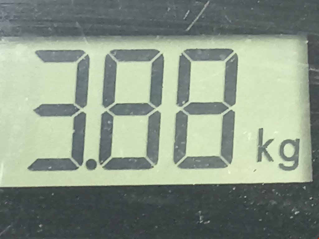 Стабилизатор передний (поперечной устойчивости подвески) MAZDA Premacy CP 1999-2004