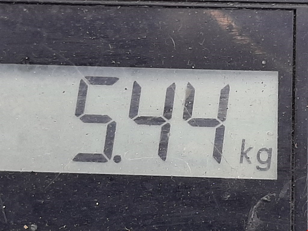 Стабилизатор передний (поперечной устойчивости подвески) FIAT Tipo 160 1988-1995