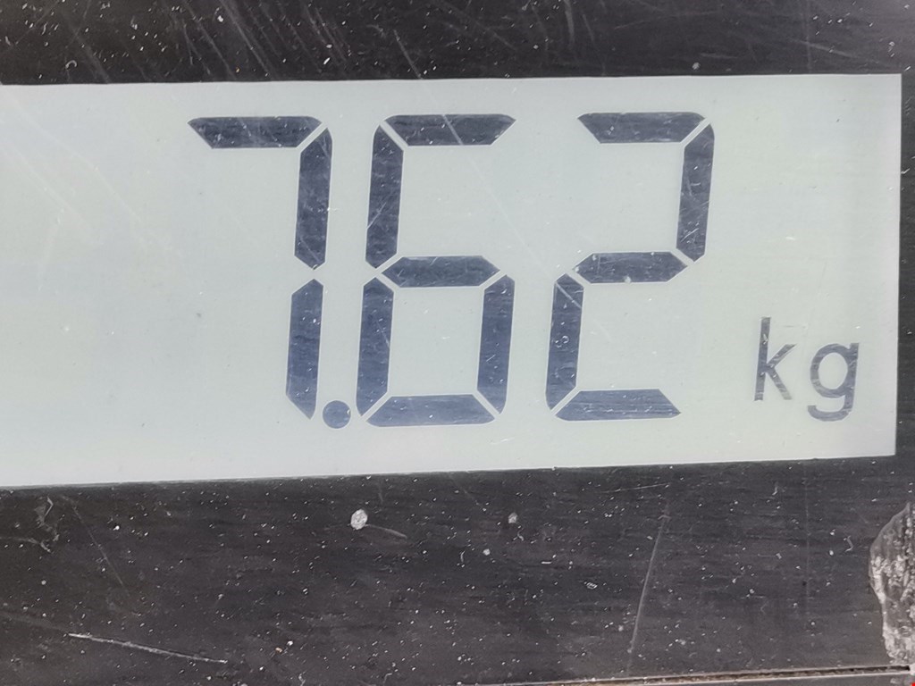 Амортизатор передний правый TOYOTA Hilux VII AN10 AN 20 AN30 2005-2015