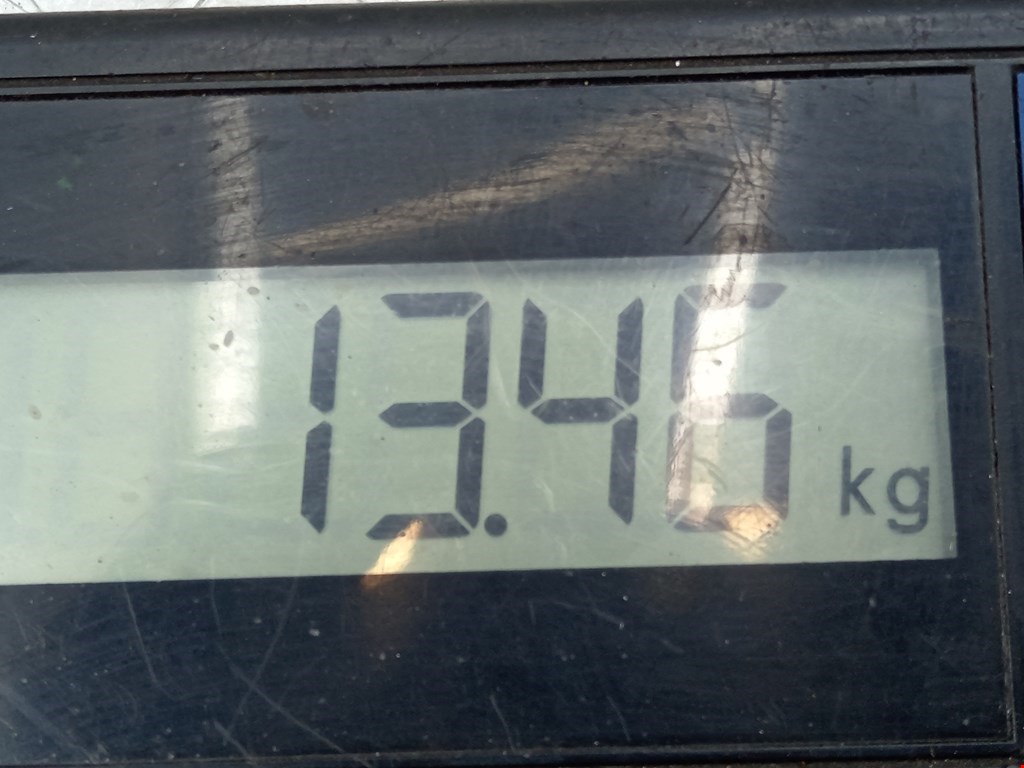 Амортизатор передний левый RENAULT Master 2010-н.в.