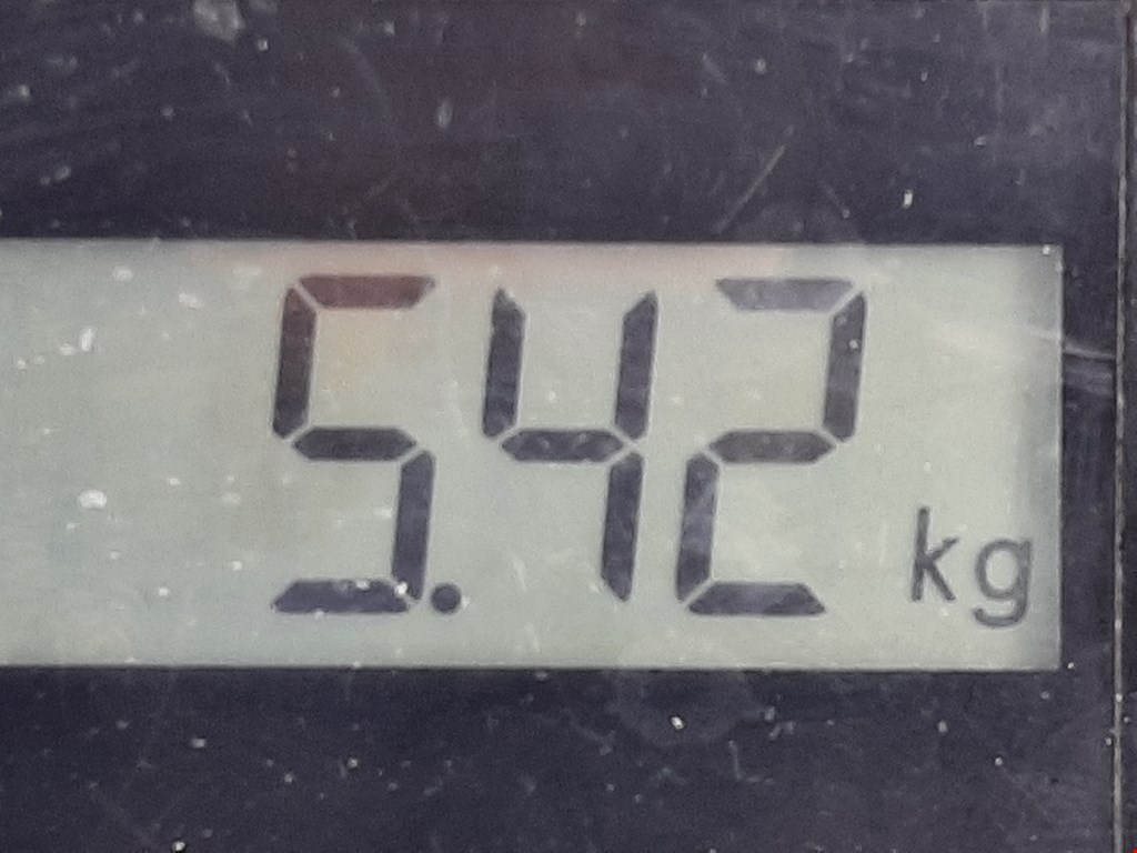 Стабилизатор передний (поперечной устойчивости подвески) OPEL Zafira B 2005-2012