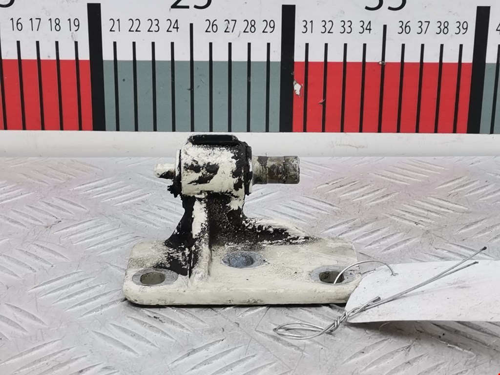 Петля двери передней левой Volkswagen Crafter 1 (2006-2016)