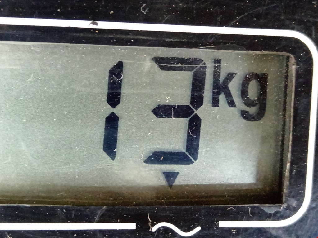 Капот RENAULT Master 2010-н.в.