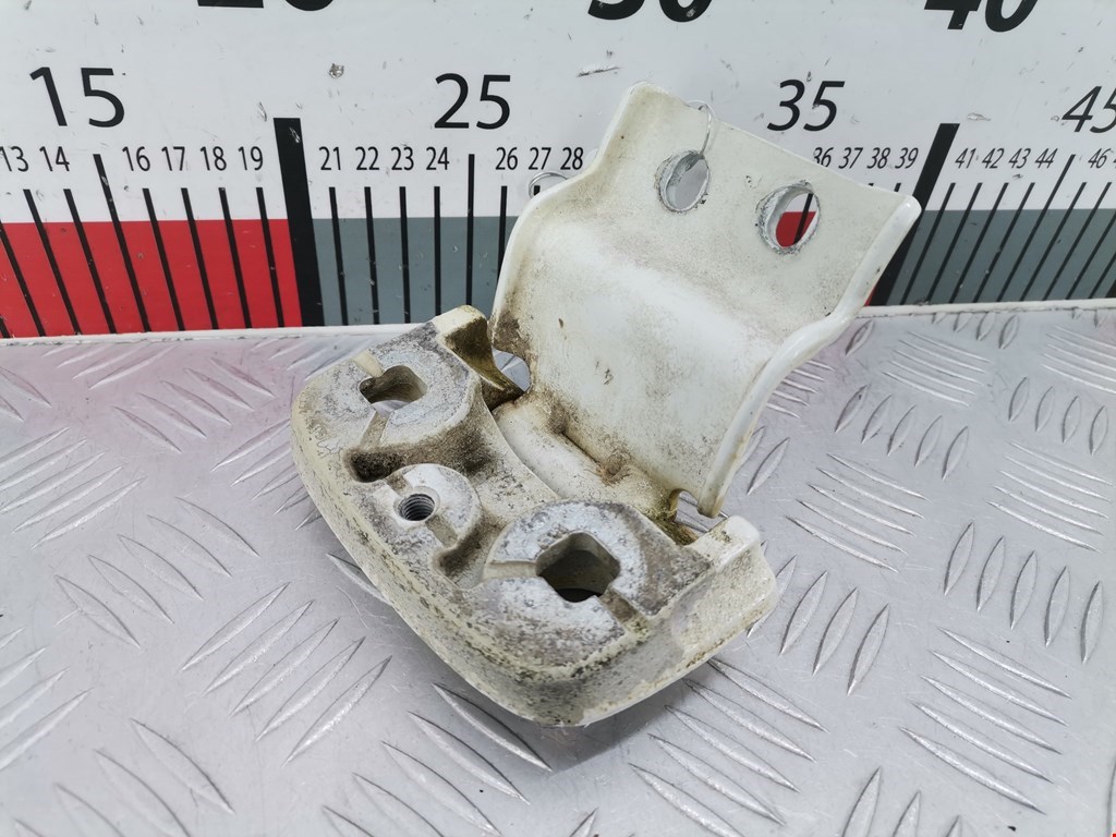 Петля двери распашной Fiat Ducato 3 (250) (2006-2014)