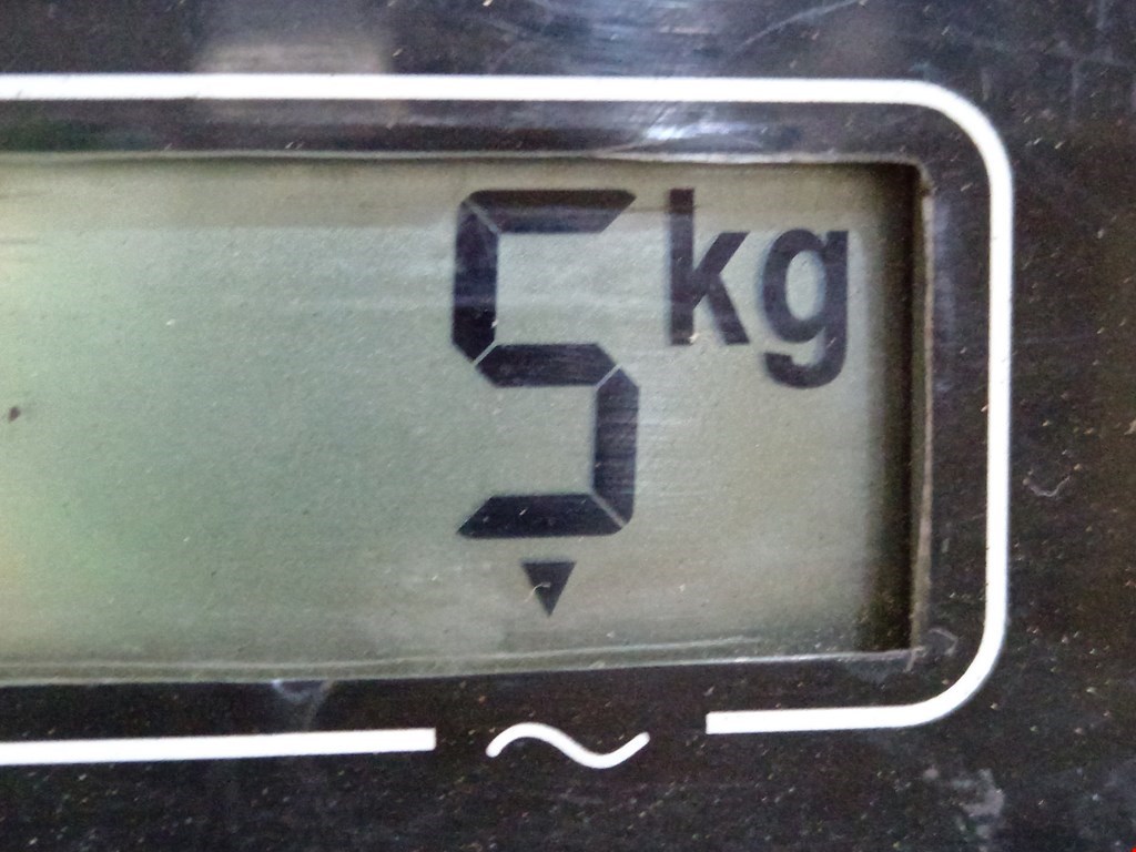 Усилитель заднего бампера (задний) VOLKSWAGEN Golf V 2003-2009