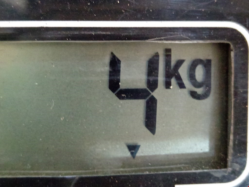 Стабилизатор передний (поперечной устойчивости подвески) PEUGEOT 207 2006-2015