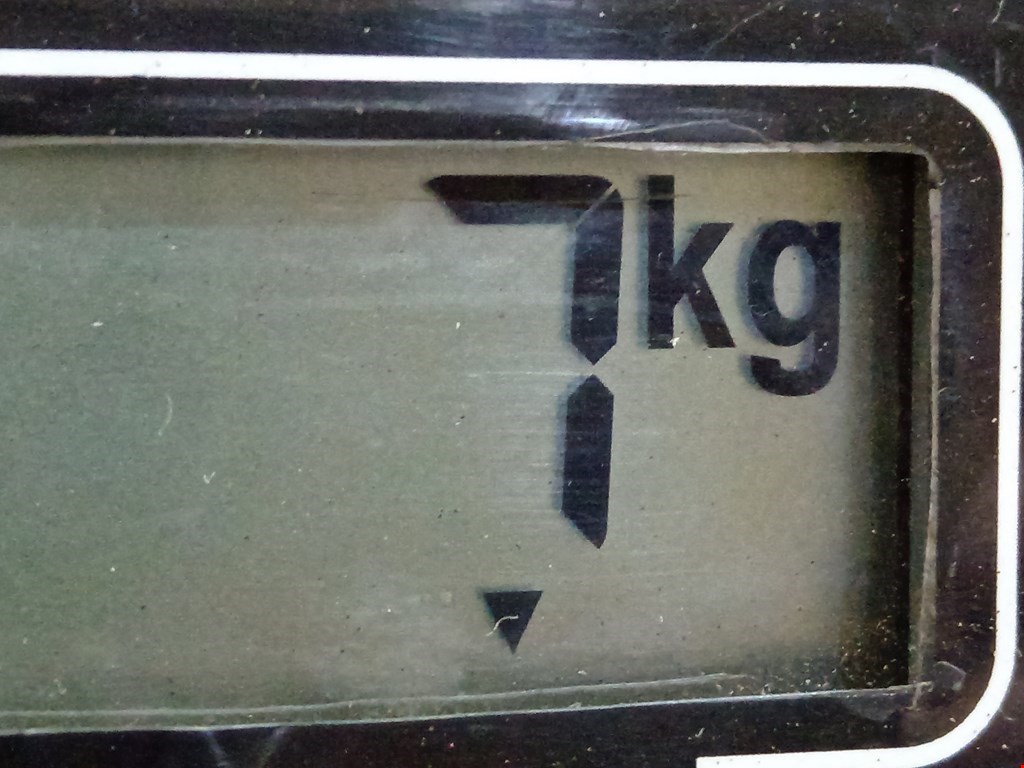 Торсион OPEL Frontera B 1998-2004